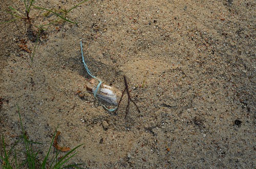 Kiel
Tampon
Coastal Landscape, Pollution/Litter/Relics, Public area/Beach
Anke Vorlauf